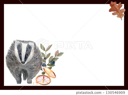 Badger, golden compass, oak leaf, and blueberry branches watercolor autumn frame on white background. Woodland wildlife design perfect for greeting cards, invitations, posters, and rustic projects 130546909