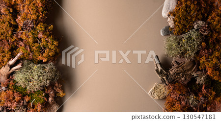 Abstract north nature scene with a composition of lichen, moss, and old snags on a beige background. Abstract north nature scene with a composition of lichen, moss, and old snags on a beige background. 130547181