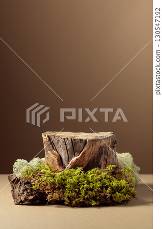 Composition with natural wooden stump and moss for advertising eco products. 130547192