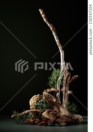 Nature scene with a composition of juniper, stones, and dry snags. 130547204