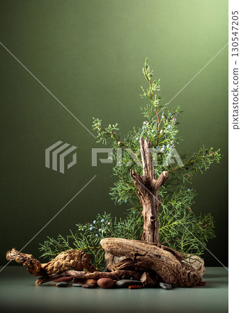 Nature scene with a composition of juniper, stones, and dry snags. 130547205