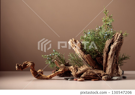 Nature scene with a composition of juniper and dry snags. 130547206