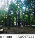 在樹林裡營地 130547333