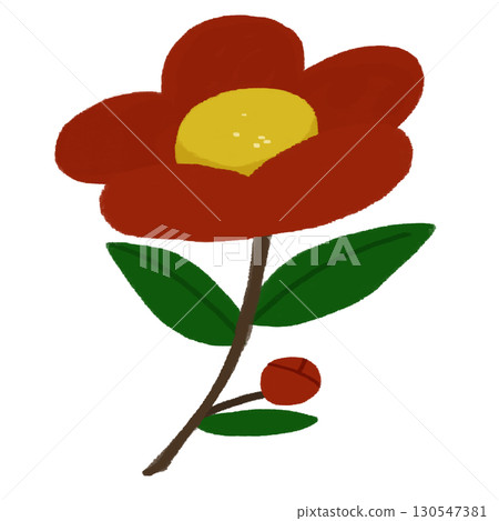 手繪彩色插圖的大山茶花 手繪彩色插圖的大山茶花 130547381