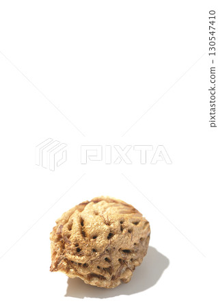 Peach seeds photographed on a white background 130547410