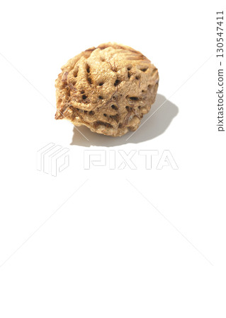 Peach seeds photographed on a white background 130547411