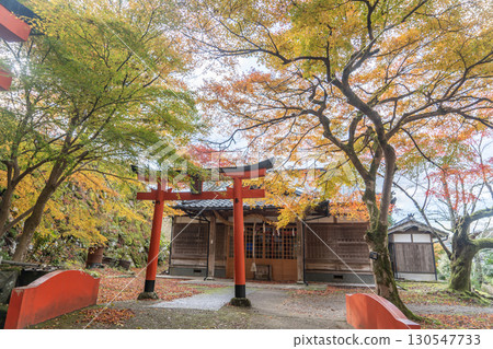 出石城有子山稻荷神社的秋葉 130547733