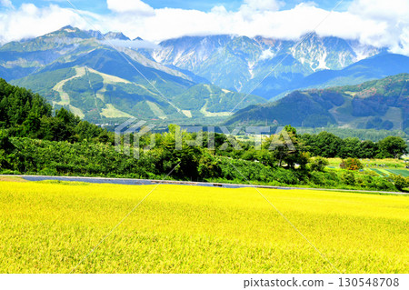 View of the Happoone ridge and Hakuba Iwatake Mountain Resort from the Nodaira area of Hakuba Village, Nagano Prefecture (Hakuba Village, Nagano Prefecture) [September 2025] 130548708