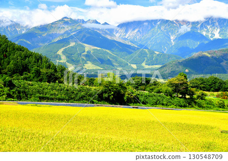 從長野縣白馬村野平地區眺望八方尾根山脊（長野縣白馬村）[2025年9月] 130548709