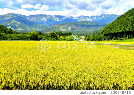 View of the Happoone ridge and Hakuba Iwatake Mountain Resort from the Nodaira area of Hakuba Village, Nagano Prefecture (Hakuba Village, Nagano Prefecture) [September 2025] 130548716