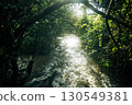 Natural stream with morning light 130549381
