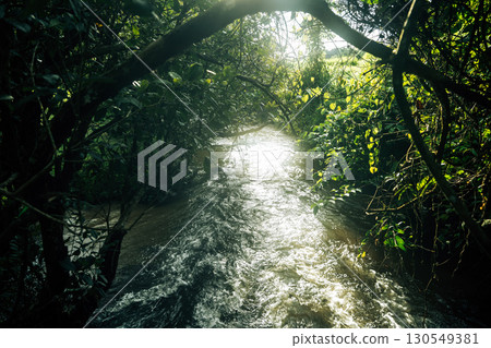 Natural stream with morning light 130549381