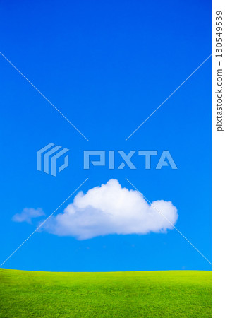 Green grassland and blue sky 130549539