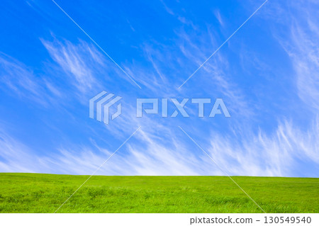 Green grassland and blue sky Green grassland and blue sky 130549540
