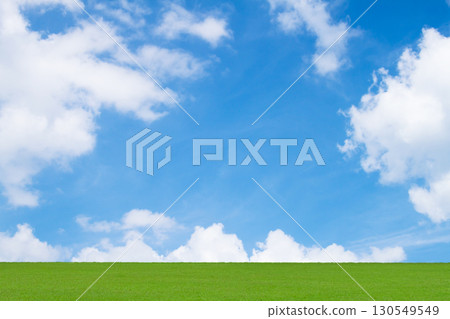 綠色草原和藍天 130549549