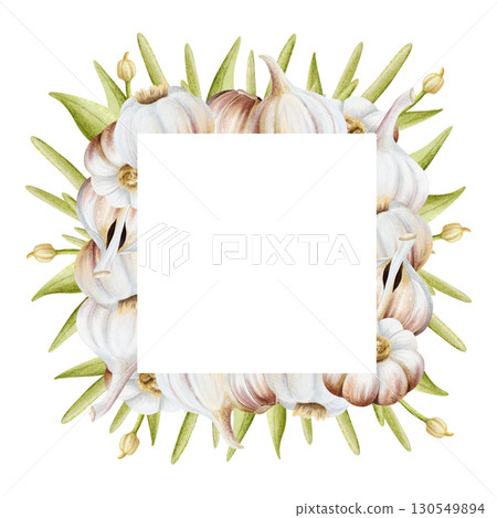 Garlic with leaves square frame watercolor illustration isolated on white. Hand drawn realistic vegetables template with copy space in pastel beige and green colors for food labels and culinary 130549894