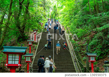 [東京] 高尾山藥王院男坂，天然豐富 130550373