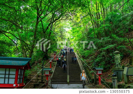 [Tokyo] Otokozaka Hill at Takao-san Yakuo-in Temple, blessed with abundant nature 130550375