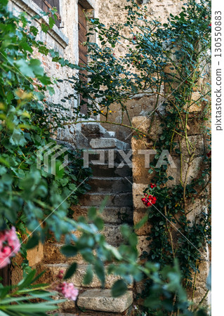 Stone staircase framed by climbing plants and red blossoms leading to a rustic wooden door. Countryside charm, cottage renaissance, romantic facades, poetic living 130550883