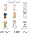 水彩手繪插畫組面朝前方坐著的狗 130551572
