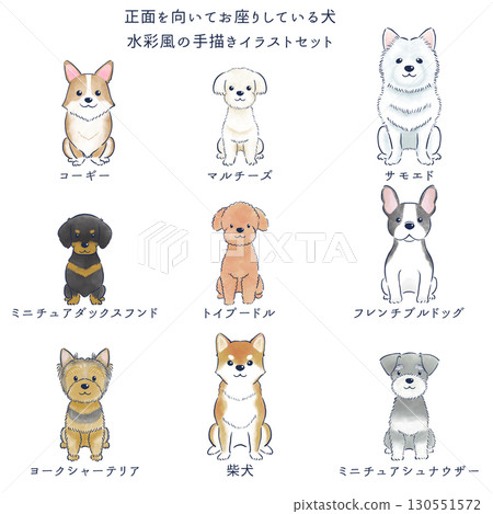 Watercolor hand-drawn illustration set of dogs sitting facing forward 130551572