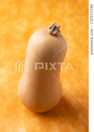 Fresh butternut squash pumpkin on orange background, Vegetable in Autumn season, Food ingredient 130551596