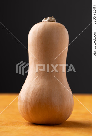 Fresh butternut squash pumpkin on orange and black background 130551597