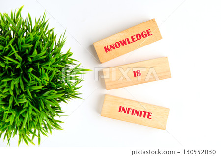 Business, limited or unlimited concept. Words KNOWLEDGE IS INFINITE made of wooden blocks on white background with green plant, top view 130552030
