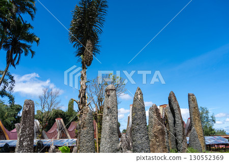 Funerary monoliths in a traditional village, Toraja land, Sulawesi, Indonesia 130552369