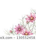 Floral arrangement of pink beautiful cosmos flowers. Square size botanical illustration with flowers, suitable for greeting cards, wedding design, invitations, packaging and floristry. 130552458