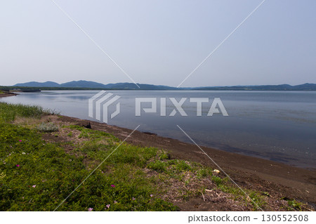 [Hokkaido_Kitami_Lake Saroma] Wakka Primeval Flower Garden and Lake Saroma, captivating visitors 130552508