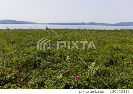 [北海道_北見_佐呂間湖]瓦卡原始花園和佐呂間湖，吸引遊客 130552511