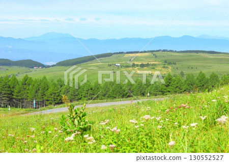 Kirigamine Plateau, Nagano Prefecture 130552527