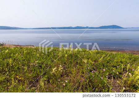 [Hokkaido_Kitami_Wakka Primeval Flower Garden] "Siberian oak" attracts visitors to the Wakka Primeval Flower Garden 130553172