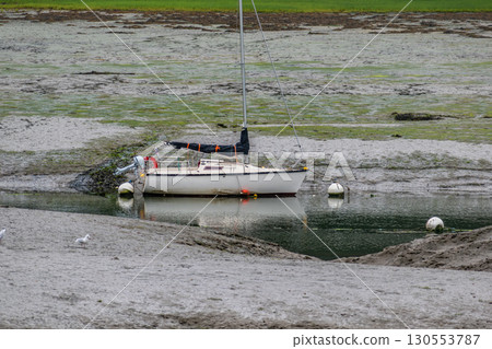 Seaside landscape in Armor Coast, Brittany in France Seaside landscape in Armor Coast, Brittany in France 130553787