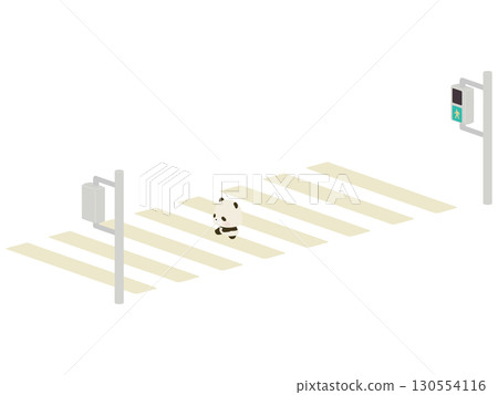 Baby panda crossing the crosswalk 130554116