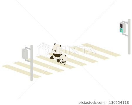 Panda parent and child crossing the crosswalk 130554118