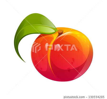 Cartoon raw ripe apricot or peach fruit. Isolated vector juicy, golden orange fresh plant with green leaf. Sweet, refreshing snack or dessert. Delectable summer treat rich in vitamins and antioxidants 130554285