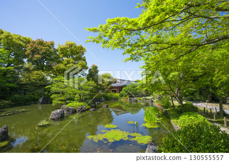 京都城南宮神念平安庭園清新綠 京都城南宮神念平安庭園清新綠 130555557