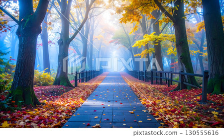 Autumn leaves and fallen leaves road 130555616
