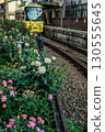 Roses and trains (Toden Arakawa Line Minowabashi Station) 130555645