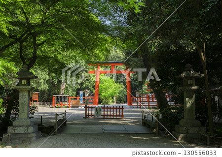 京都：下鴨神社的鳥居與新鮮的綠色植 130556033