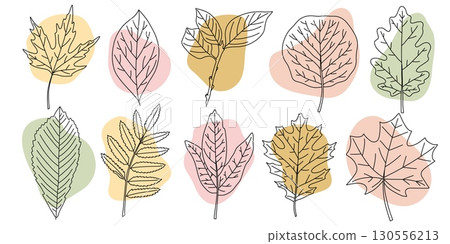 Autumn Leaves Minimalist Line Art Set 130556213