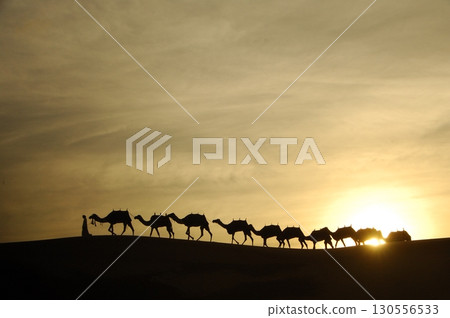 Camel cart in Rajasthan India 25th Aug 2025 130556533