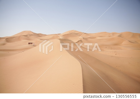 Camel cart in Rajasthan India Camel cart in Rajasthan India 130556555