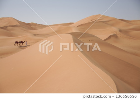 Camel cart in Rajasthan India Camel cart in Rajasthan India 130556556