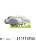 Large Stone with Fossil Skull Illustration 130556592