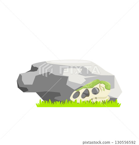 Large Stone with Fossil Skull Illustration 130556592
