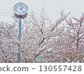 Clock surrounded by cherry blossoms 130557428