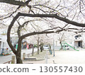 Park with cherry blossoms 130557430
